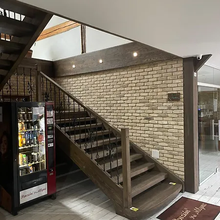 Affittacamere Pri Mlyne 3*