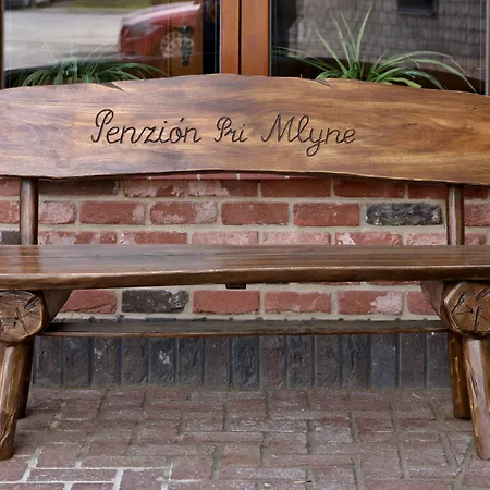 Pensionat Pri Mlyne